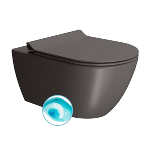 GSI PURA WC závěsné, splachování SWIRLFLUSH, 55x36 cm, bistro dual-mat 881516